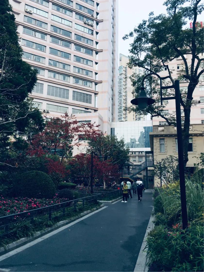 上海西康公园下象棋,上海西康公园地址