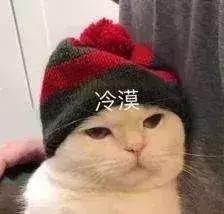 公猫能够有多个乳房吗,公猫也长乳房吗