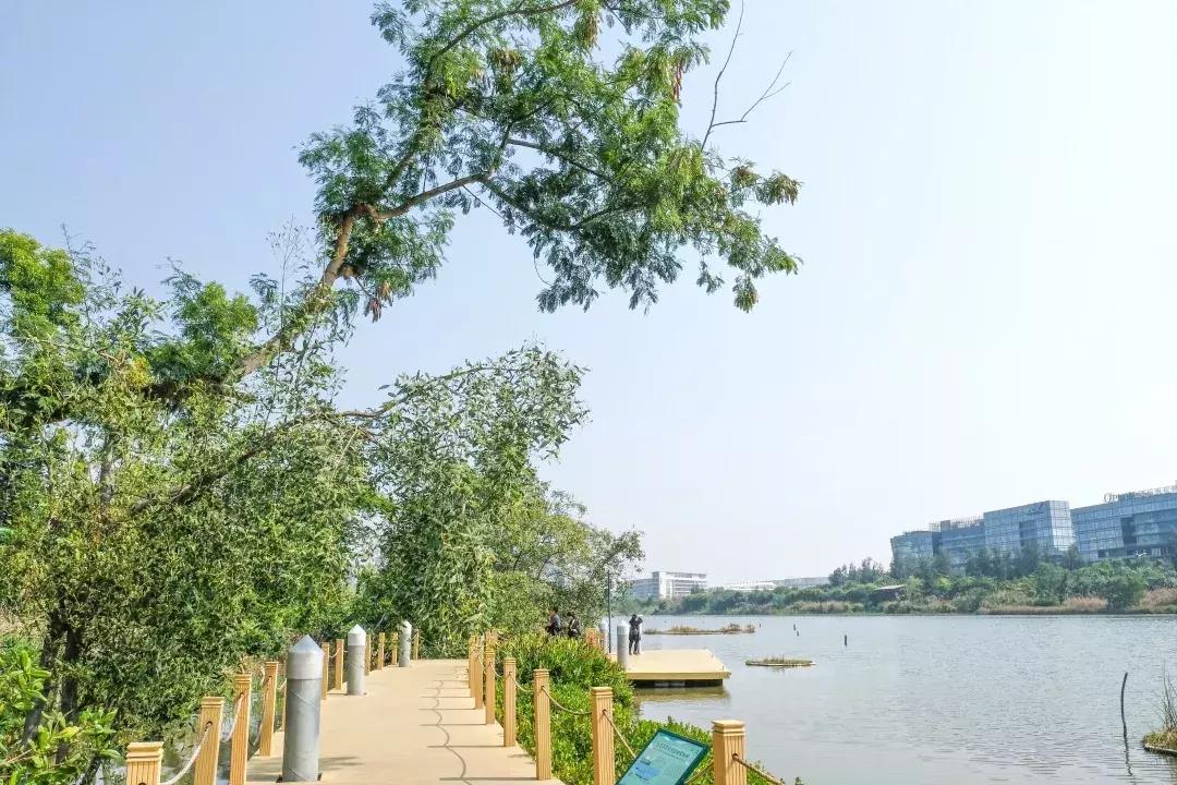 深圳世界之窗充满回忆,深圳世界之窗景点大全