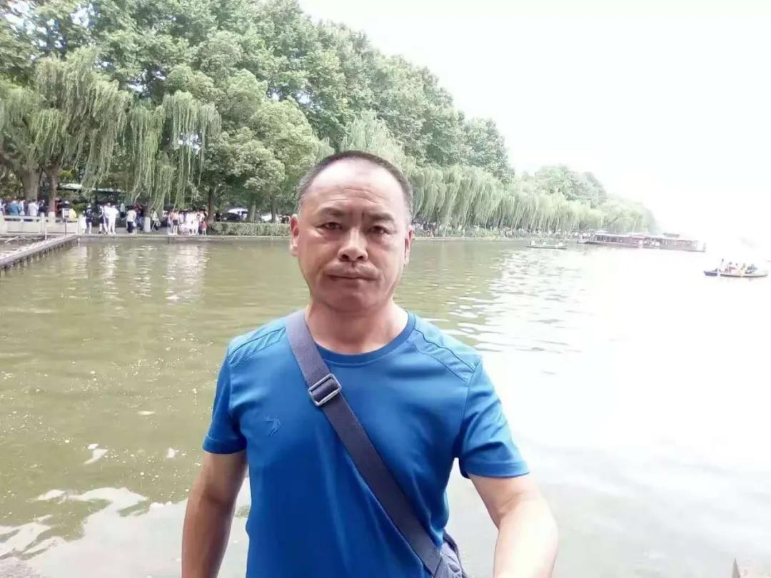 白杨树文章高中散文,今日作家