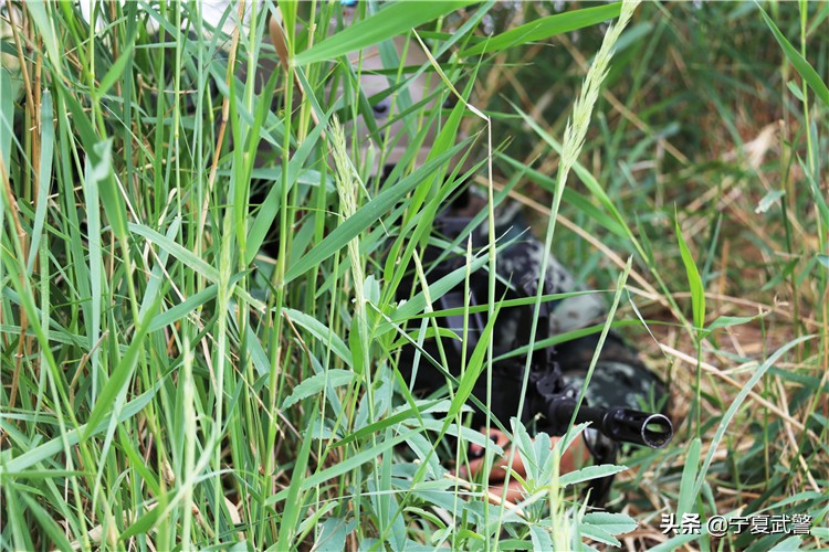 魔鬼周训练武警特战队员宣誓出征,魔鬼周训练天狼突击队