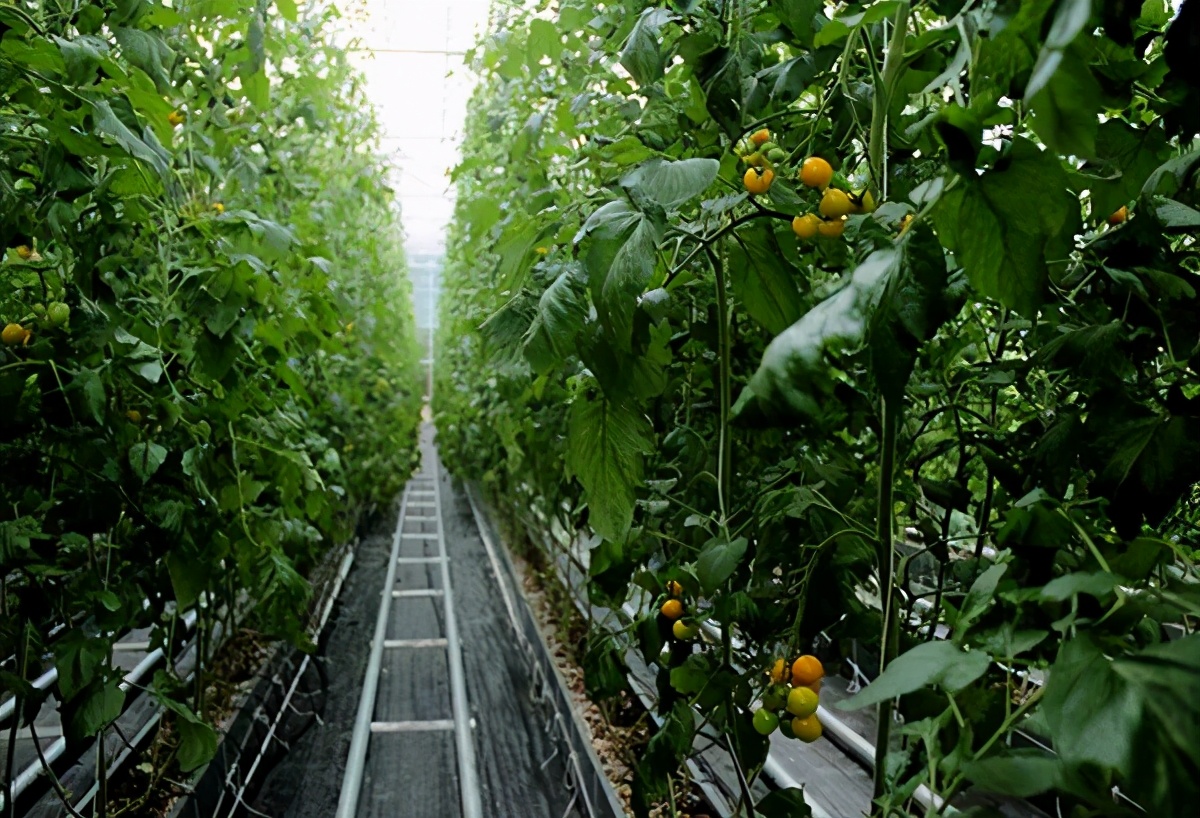 长三角城市群最佳旅游线路,长三角示范区旅游详细攻略