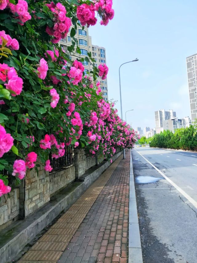 大连游玩街区,大连旅游街区推荐名单