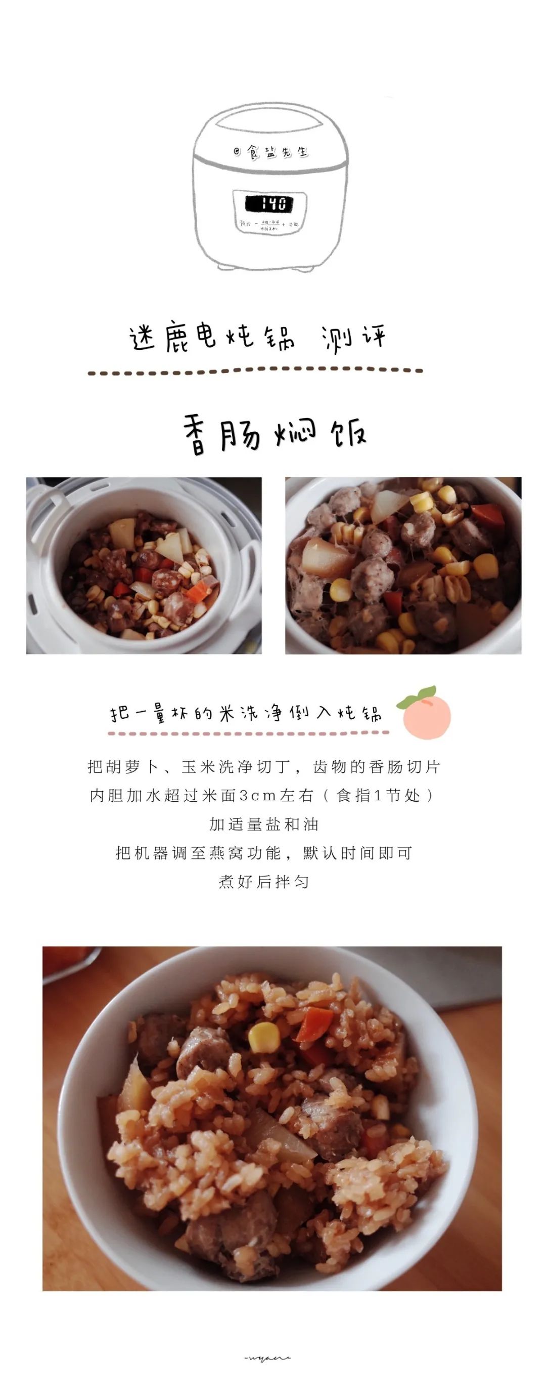 高端健康养生电锅,电炖锅养生