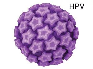 hpvee6e7阳性能够打宫颈癌疫苗吗,hpv39阳性tct正常可能是宫颈癌吗