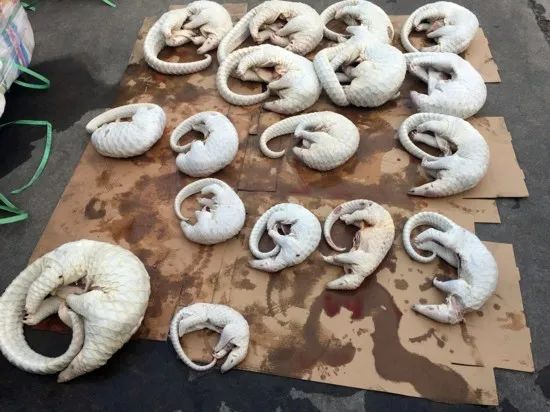 疫情改变了我们的生活,疫情过后会改变我们的生活习惯吗