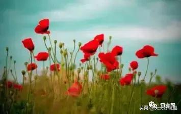 家庭兴旺歌，和谐歌，夫妻歌太绝了！句句精辟