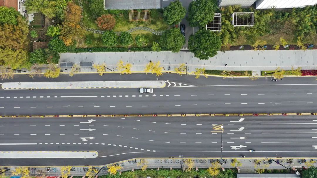 深秋回暖，安排！沪上各区的深秋美景，你准备好打卡了吗？