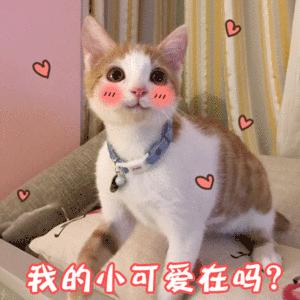 所有女生！各大品牌的春季眼影盘来咯