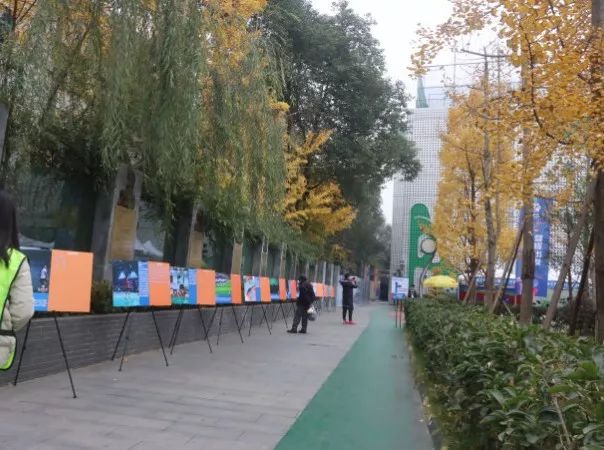一地鸡毛事件完全视频,一地羽毛