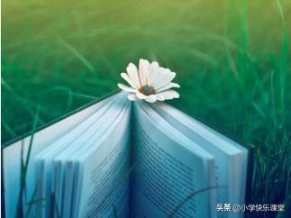 堂堂清日日清的优缺点,日日清和堂堂清哪个好