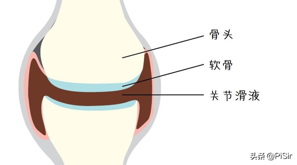 治疗关节的药氨糖,氨糖对关节疾病有什么功能