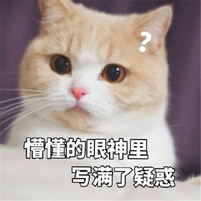 美术差生怎么教,美术集训老师很不好怎么办