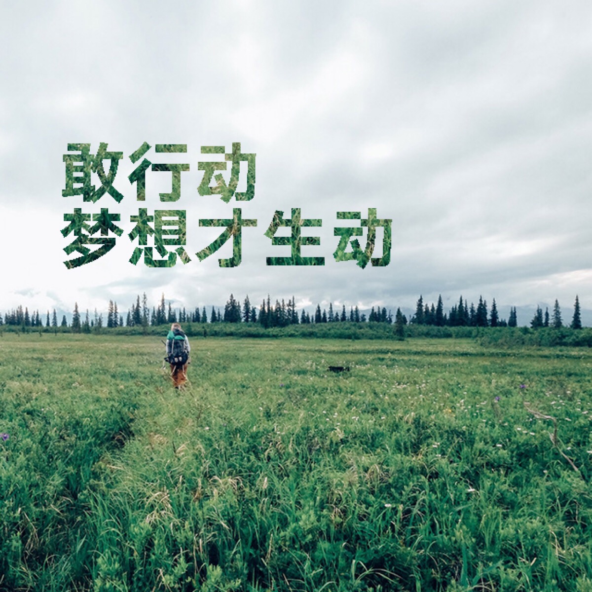 抖音发布的今日时刻在哪里看,抖音今日头条属于什么
