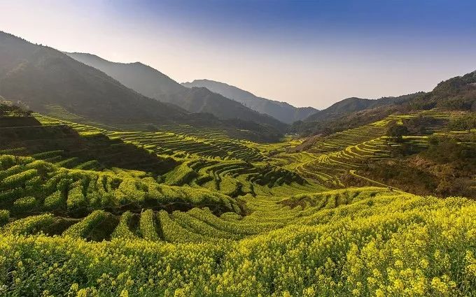 婺源旅游全攻略自由行,婺源旅游攻略一日游自由行