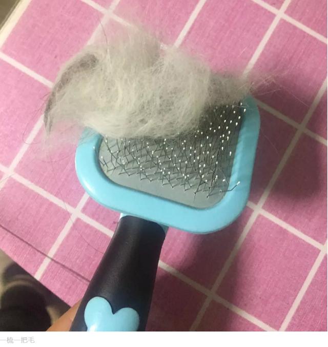 猫咪有毛球吃什么能够排出来,猫咪毛球怎么去除