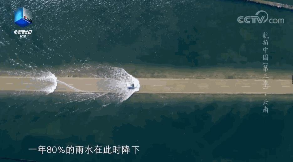 带你Get《司藤》同款神仙美景，春天的香格里拉这样玩