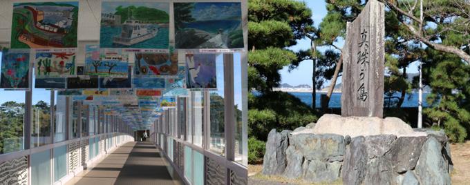 淡水珍珠和akoya海水珍珠哪个好,日本珍珠哪里最好