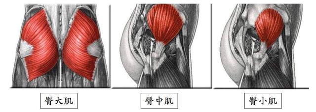 男性腿粗怎么解决,男人腿太细怎样锻炼能长粗