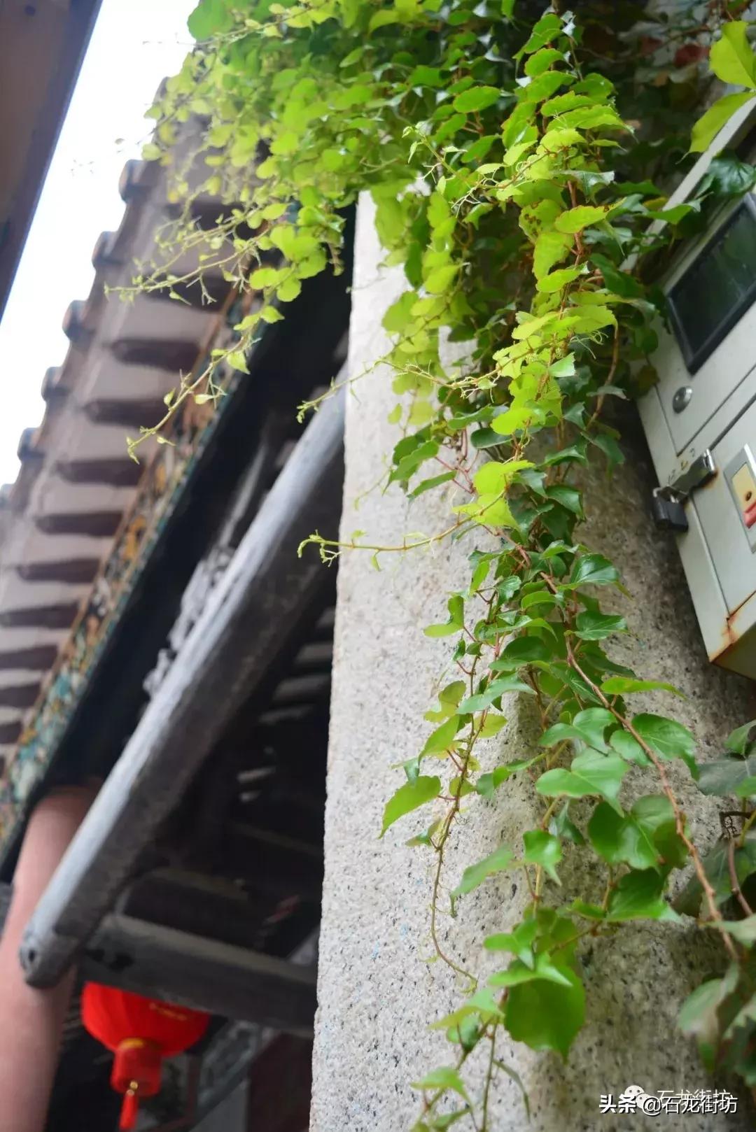 一个充满乡愁的古村落,东莞下坝坊和西溪古村