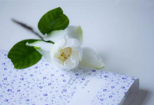 刁问妙答（太精辟了，必看）