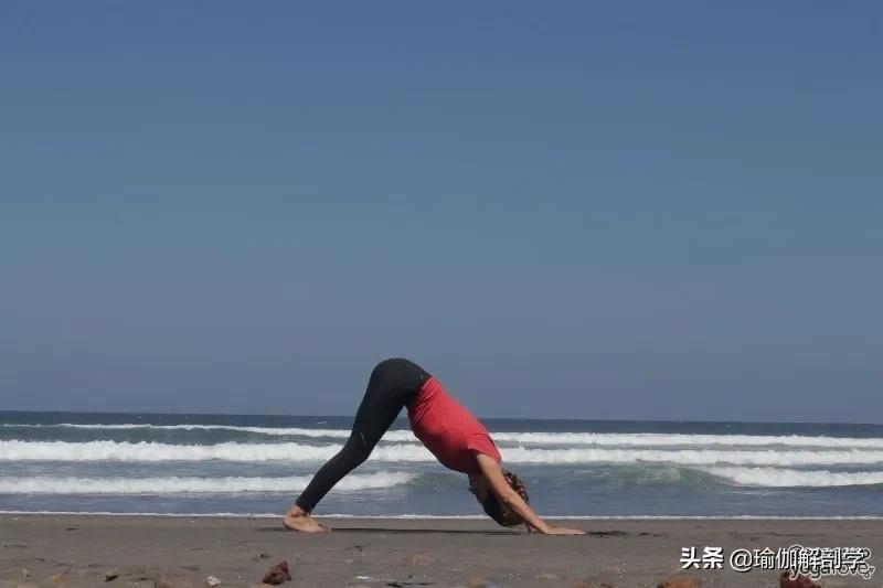 一整套瑜伽瘦身,瑜伽减脂塑形体式序列