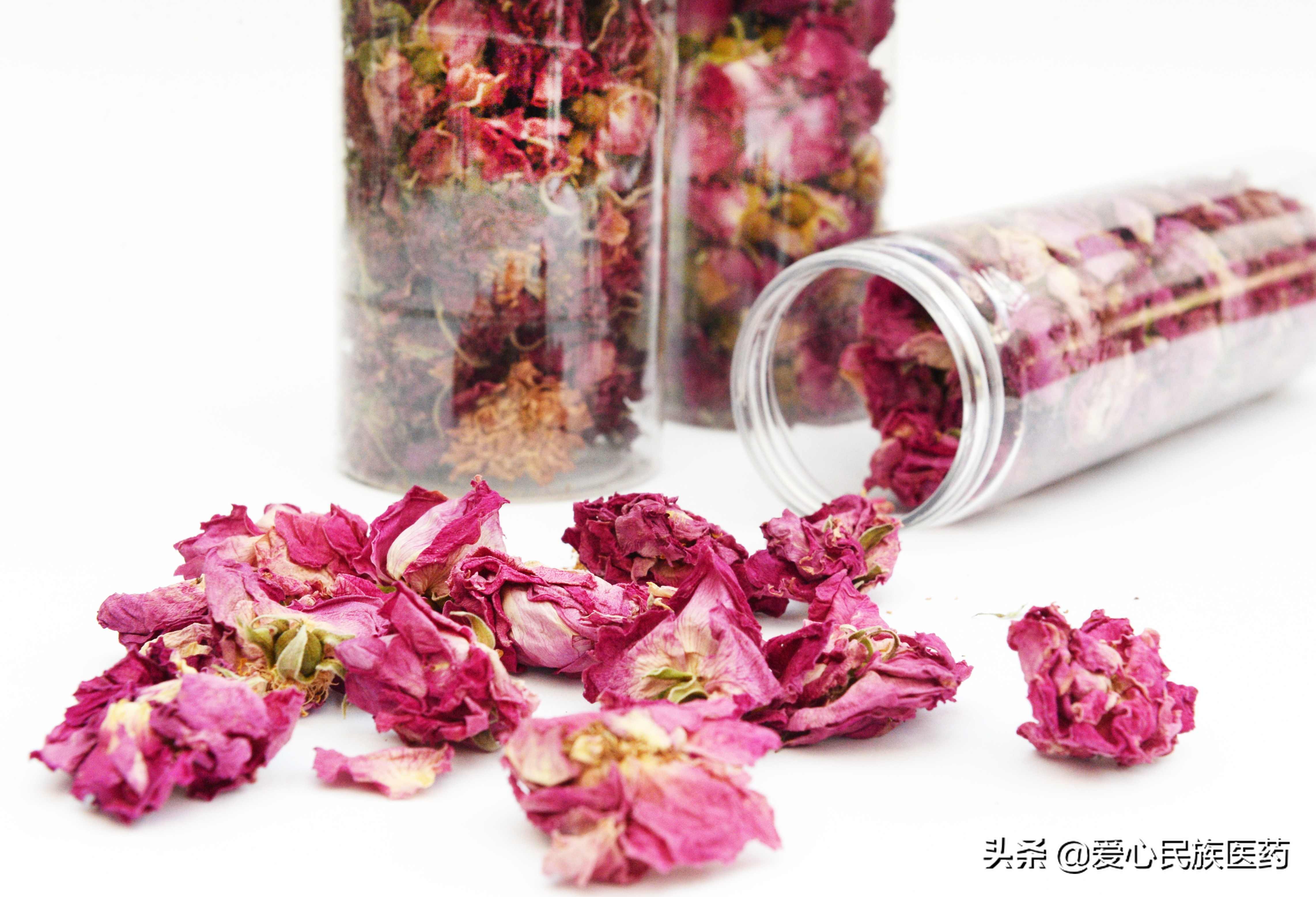 胎菊和金丝皇菊哪个泡水效果好,胎菊和玫瑰花能够一起吗