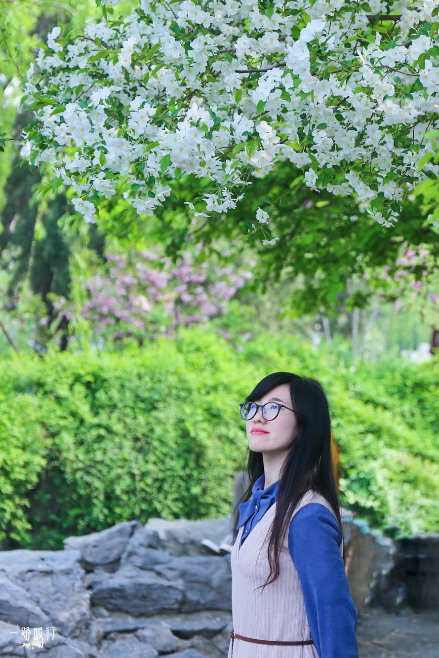 济南合适去的花海公园,济南春季公园有哪些景点