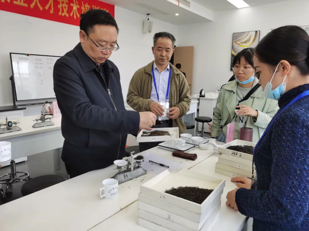 茶叶培训,湖北茶叶评茶师培训