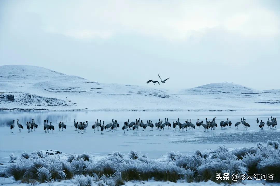 中国云南哪里好看,云南的云彩为什么好看