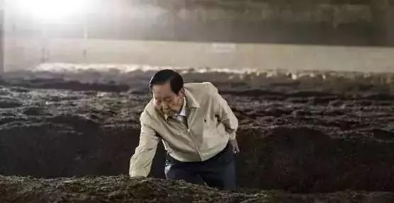 云南老同志邹炳良普洱茶价格查询,2006老同志邹炳良熟普洱茶价格表