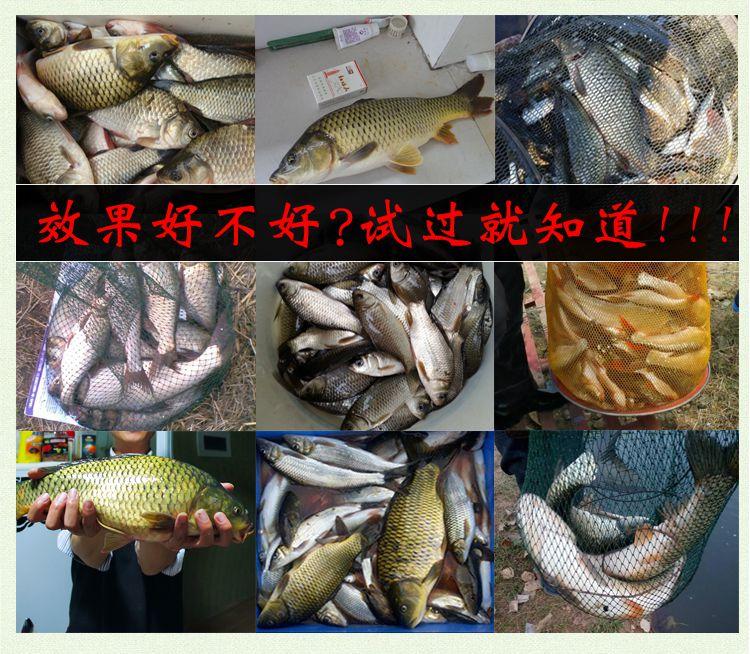 钓鱼小药dmpt使用方法,dmpt配什么东西有特效诱鱼功能