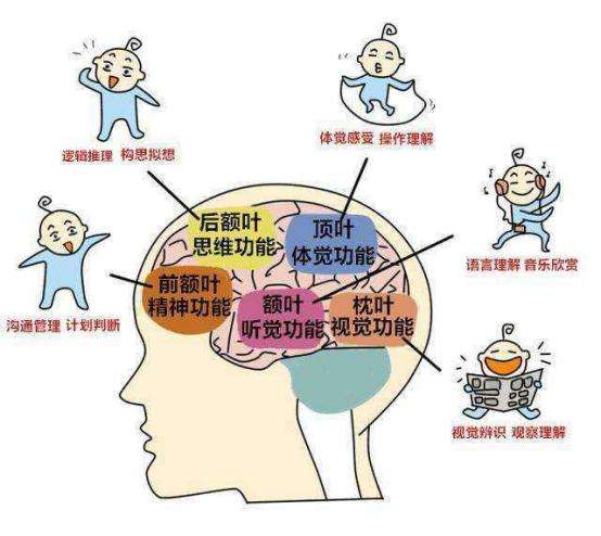 学会这些知识让你变聪明,聪明人的学习方法和技巧