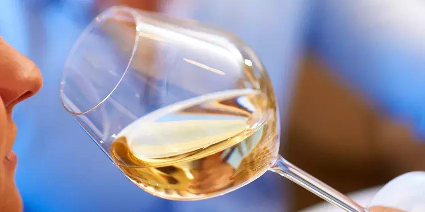 葡萄酒品鉴会礼仪,葡萄酒品鉴之术语