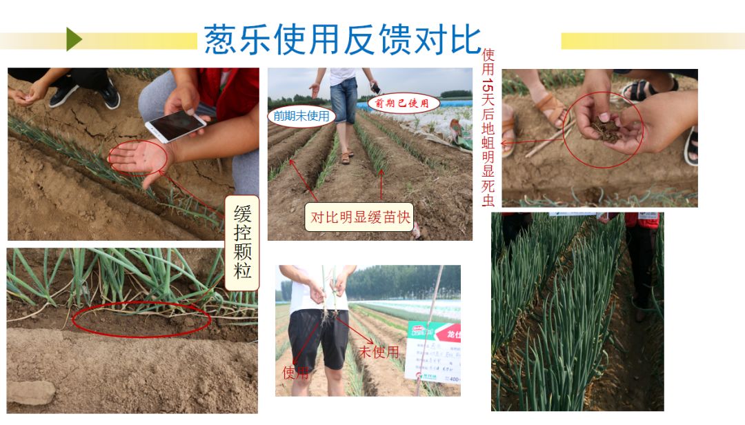 一浇水就没虫！真的吗？智能缓控释颗粒，向您推荐的五大理由