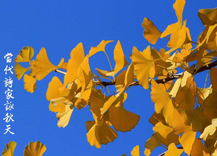 诗家咏秋 (当代诗家咏秋天第十二期)