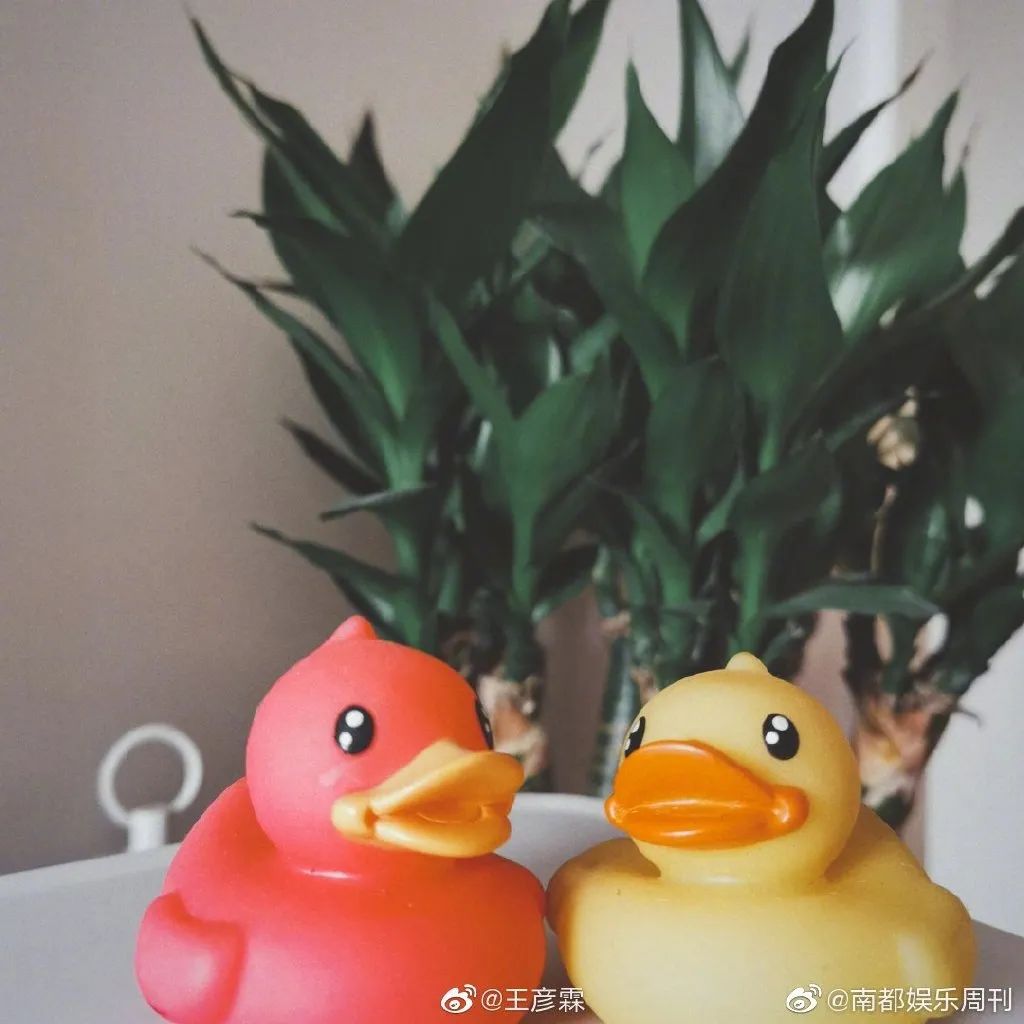 公开恋情？他前女友瓜好大