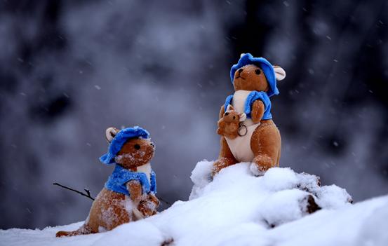 世界上最贵的吃的东西,世界上最贵的东西1克值2亿元