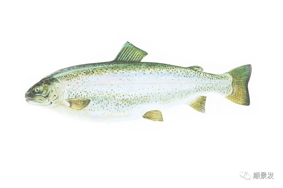 挪威和中国签订协议,挪威希望与中国加强合作