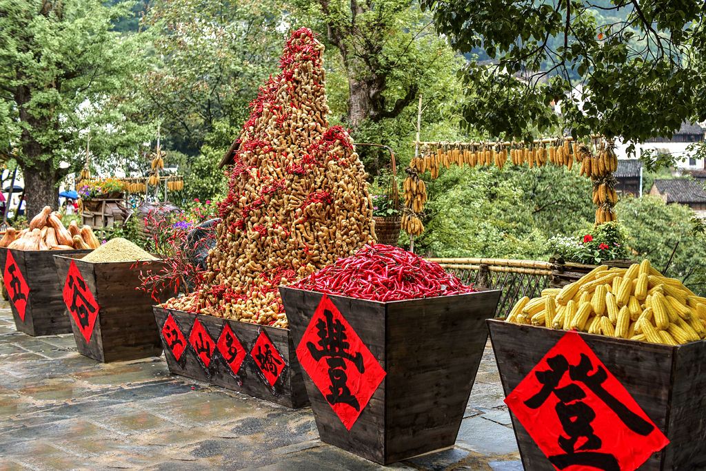 成语五谷丰登五谷指的是,五谷丰登意思相近的成语