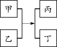 物质的转化与推断会用到的物质,初三化学上册的物质转化与推断