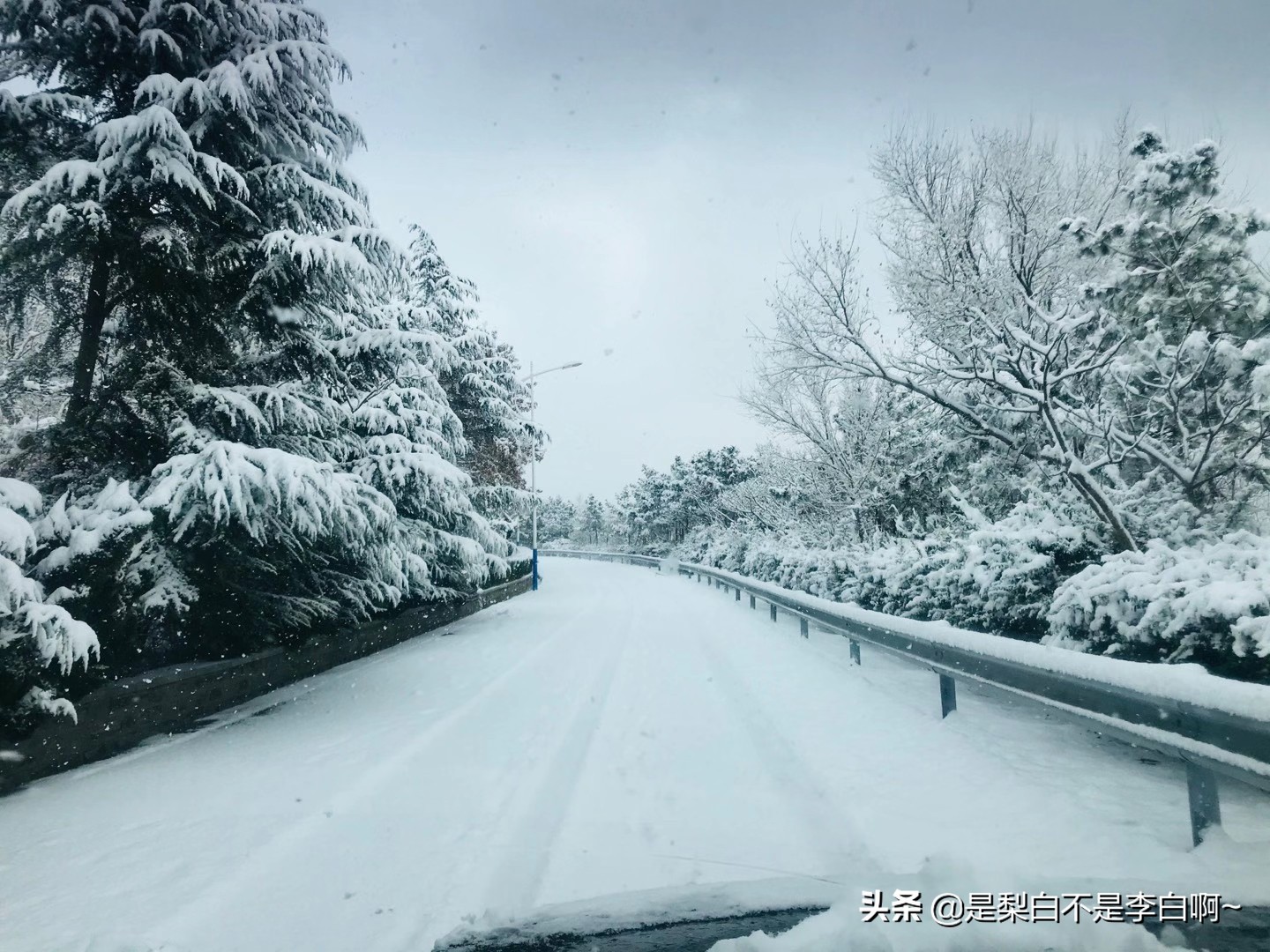 胶东大集：裹着糖的油果，十里飘香的猪头肉，最般配的羊汤和油条