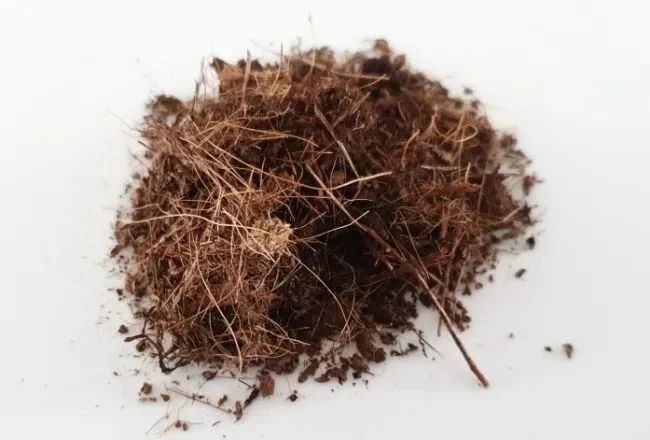 配制盆栽花土用什么土,在花盆里种植物怎么种