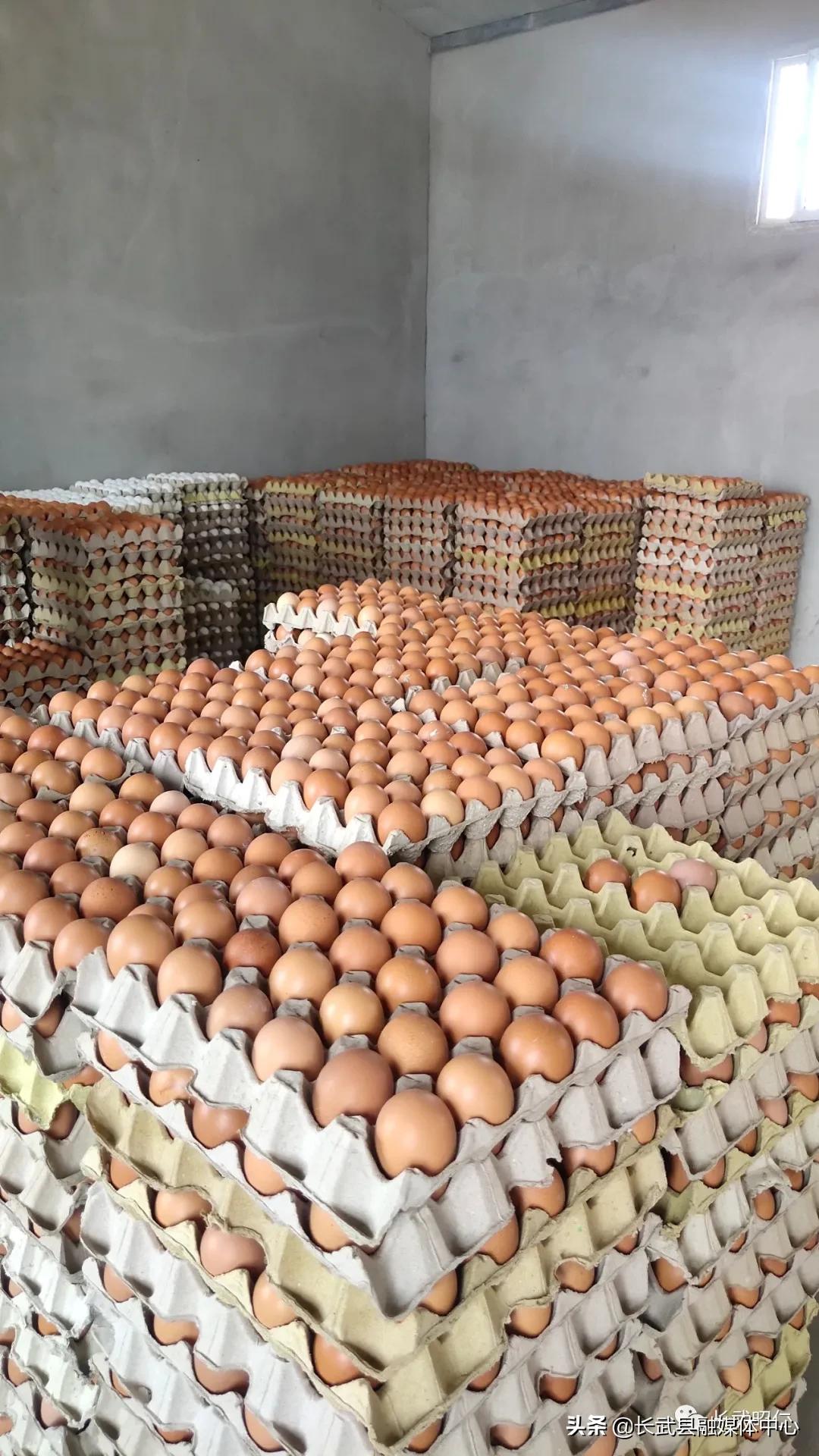 香椿炒鸡蛋的营养价值,冻过的香椿怎样炒鸡蛋