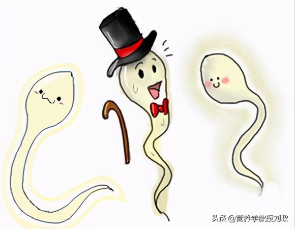 男人生殖障碍吃什么药副功能小,男性生殖障碍中医还是西医治疗