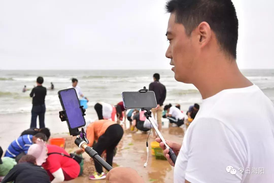 为什么烟台海边出现那么多海鲜,烟台的海为什么冒出那么多海鲜