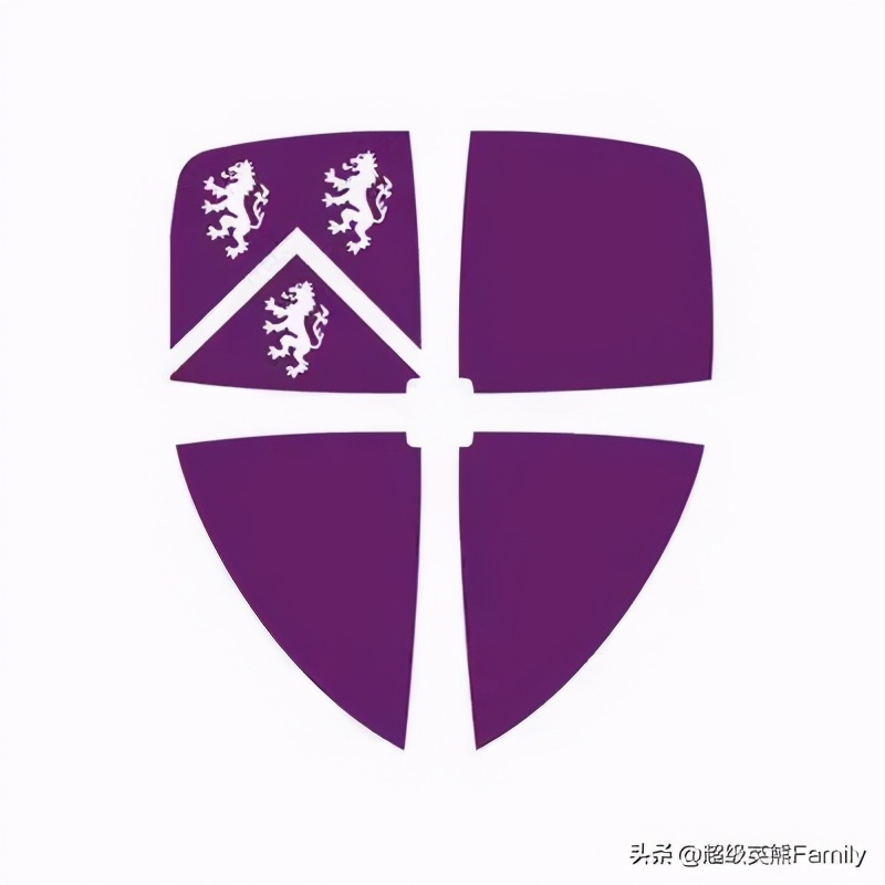 英国金史密斯学校怎么样,英国金史密斯学院纯艺术