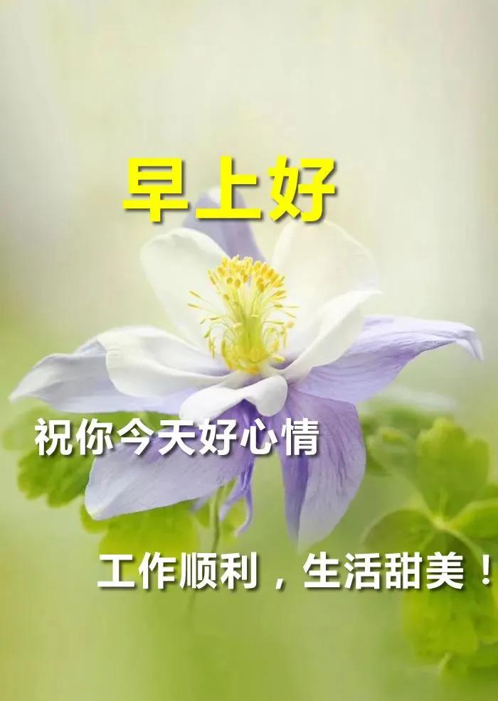 11月21日早安心语正能量句子,2021年早安心语正能量一句话
