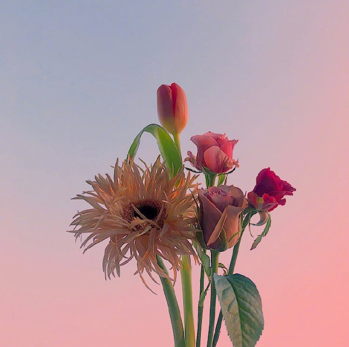 多年后若能重逢别来无恙,如果久别能重逢那该有多好