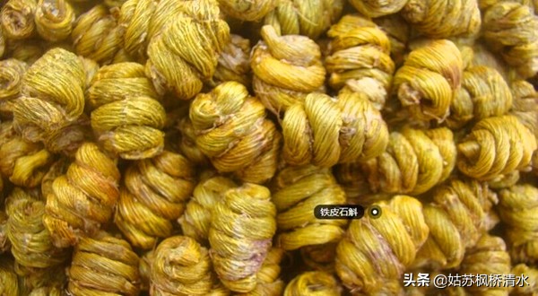 枫桥夜泊在哪城市,枫桥夜泊地点哪个地区